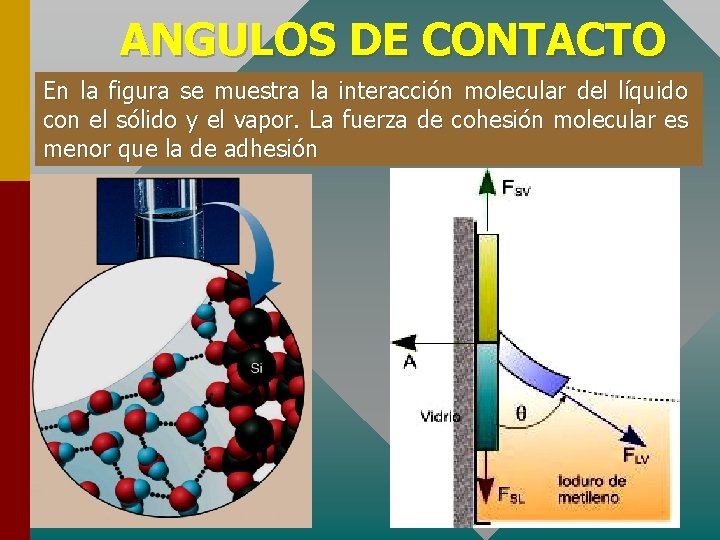 ANGULOS DE CONTACTO En la figura se muestra la interacción molecular del líquido con