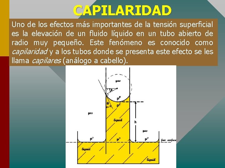 CAPILARIDAD Uno de los efectos más importantes de la tensión superficial es la elevación