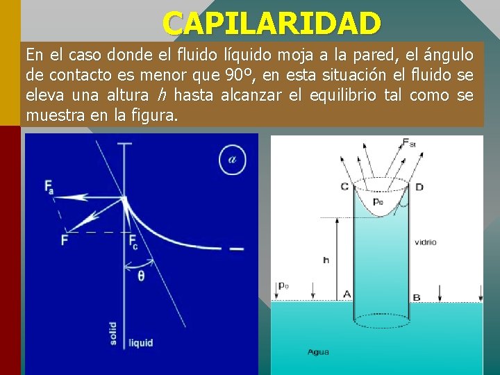 CAPILARIDAD En el caso donde el fluido líquido moja a la pared, el ángulo