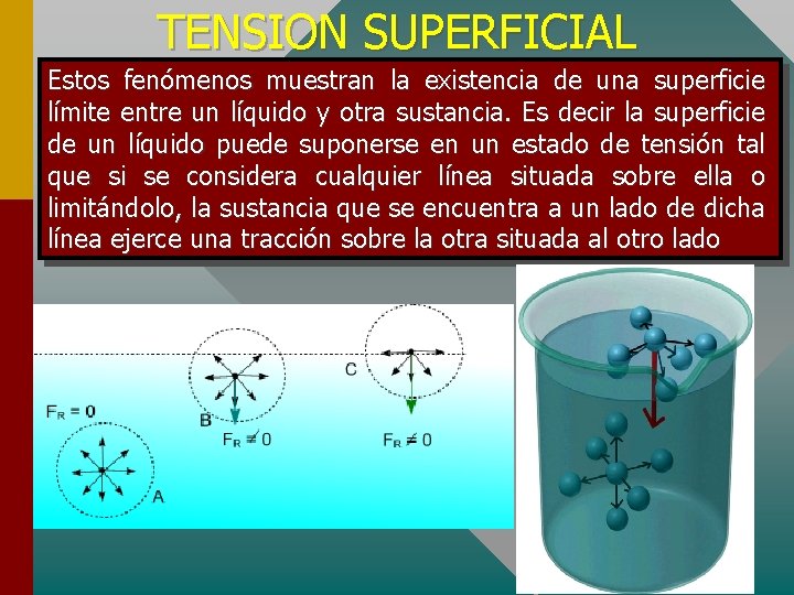 TENSION SUPERFICIAL Estos fenómenos muestran la existencia de una superficie límite entre un líquido