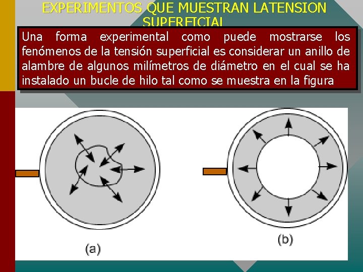 EXPERIMENTOS QUE MUESTRAN LATENSION SUPERFICIAL Una forma experimental como puede mostrarse los fenómenos de