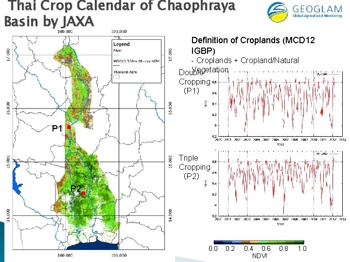 Thai Crop Calendar of Chaophraya Basin by JAXA Definition of Croplands (MCD 12 IGBP)