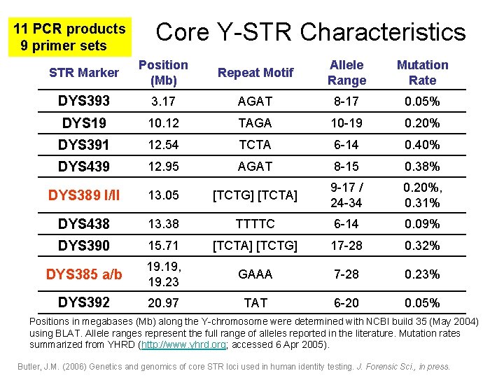 11 PCR products 9 primer sets Core Y-STR Characteristics STR Marker Position (Mb) Repeat