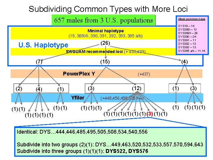 Subdividing Common Types with More Loci 657 males from 3 U. S. populations Minimal