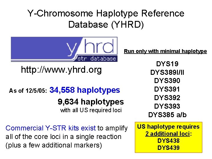 Y-Chromosome Haplotype Reference Database (YHRD) Run only with minimal haplotype http: //www. yhrd. org