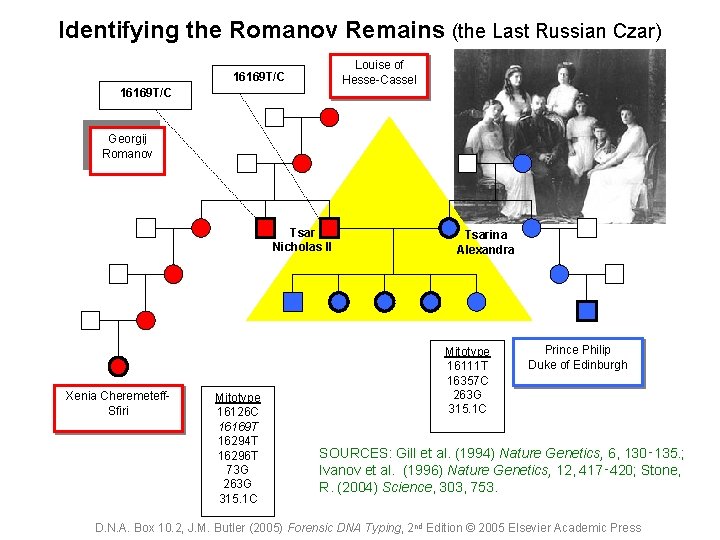Identifying the Romanov Remains (the Last Russian Czar) Louise of Hesse-Cassel 16169 T/C Georgij