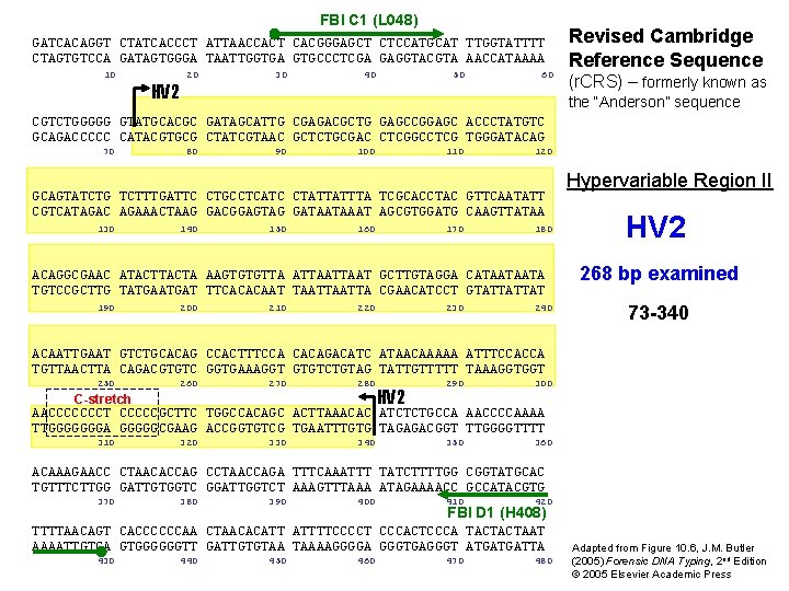 FBI C 1 (L 048) GATCACAGGT CTATCACCCT ATTAACCACT CACGGGAGCT CTCCATGCAT TTGGTATTTT CTAGTGTCCA GATAGTGGGA TAATTGGTGA