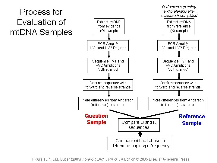 Process for Evaluation of mt. DNA Samples Performed separately and preferably after evidence is