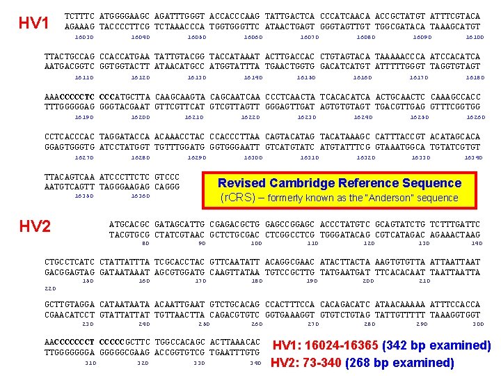 HV 1 TCTTTC ATGGGGAAGC AGATTTGGGT ACCACCCAAG TATTGACTCA CCCATCAACA ACCGCTATGT ATTTCGTACA AGAAAG TACCCCTTCG TCTAAACCCA TGGTGGGTTC