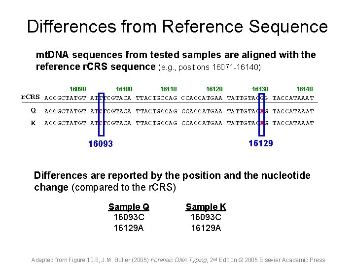 Differences from Reference Sequence mt. DNA sequences from tested samples are aligned with the