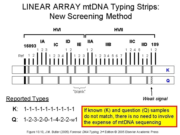 LINEAR ARRAY mt. DNA Typing Strips: New Screening Method HVI 16093 Ref IA IC