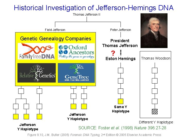 Historical Investigation of Jefferson-Hemings DNA Thomas Jefferson II Field Jefferson Peter Jefferson Genetic Genealogy