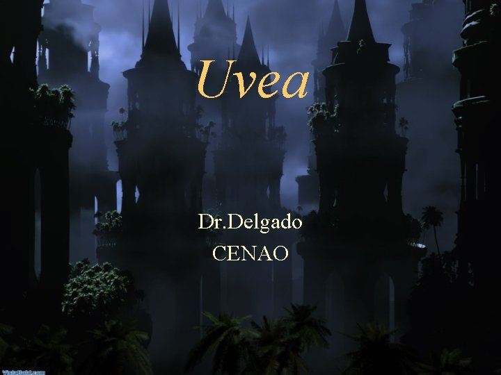 Uvea Dr. Delgado CENAO 