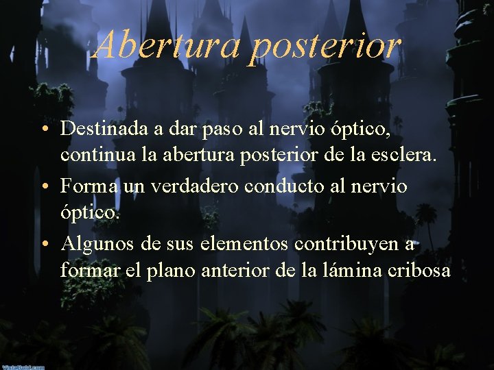 Abertura posterior • Destinada a dar paso al nervio óptico, continua la abertura posterior