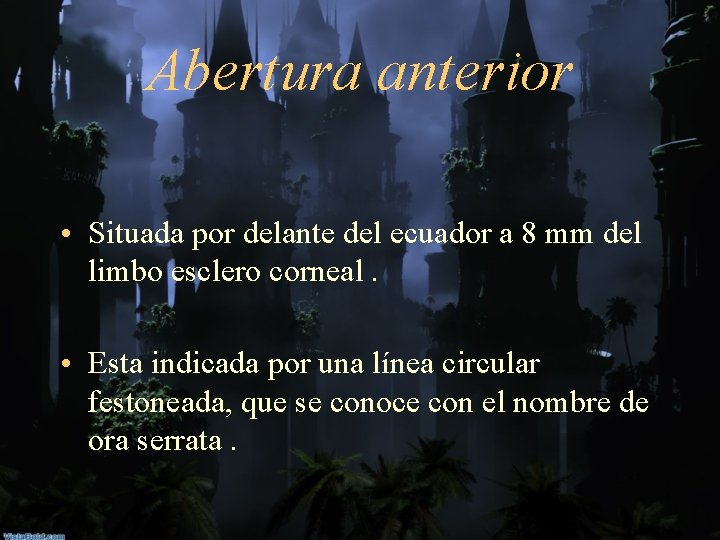 Abertura anterior • Situada por delante del ecuador a 8 mm del limbo esclero