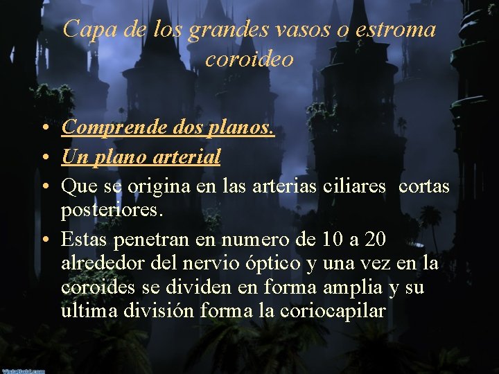 Capa de los grandes vasos o estroma coroideo • Comprende dos planos. • Un