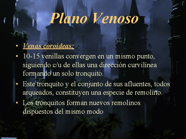 Plano Venoso • Venas coroideas: • 10 -15 venillas convergen en un mismo punto,