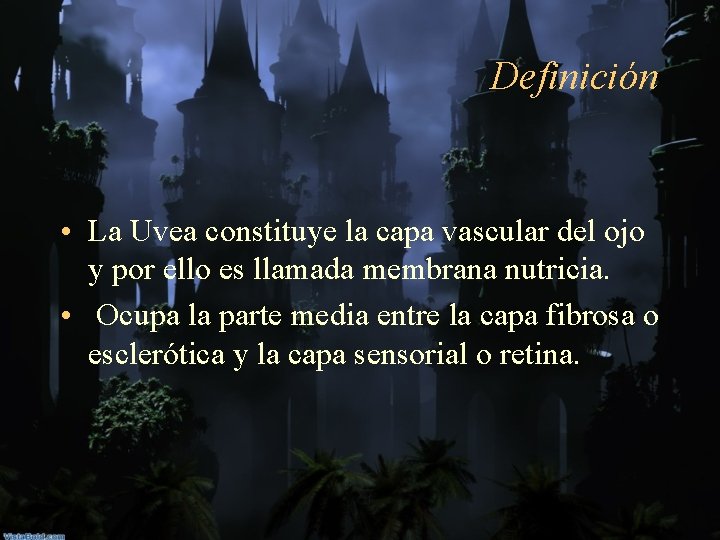 Definición • La Uvea constituye la capa vascular del ojo y por ello es