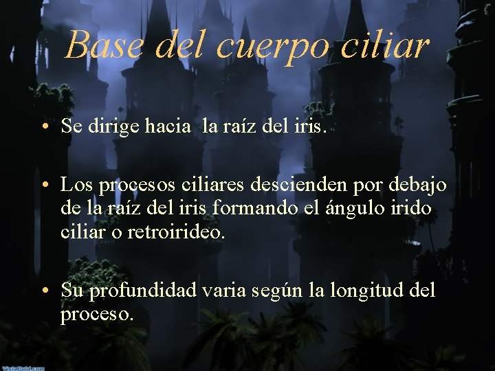 Base del cuerpo ciliar • Se dirige hacia la raíz del iris. • Los