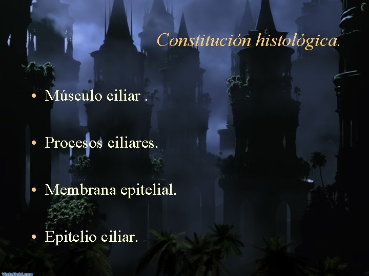 Constitución histológica. • Músculo ciliar. • Procesos ciliares. • Membrana epitelial. • Epitelio ciliar.