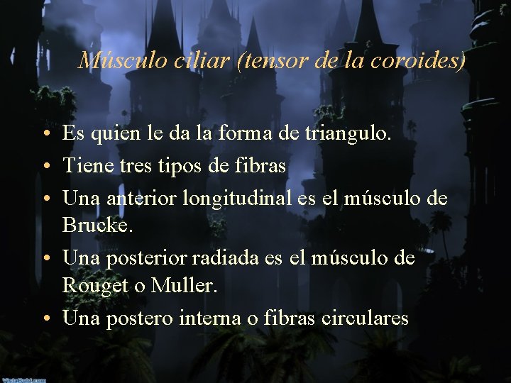 Músculo ciliar (tensor de la coroides) • Es quien le da la forma de