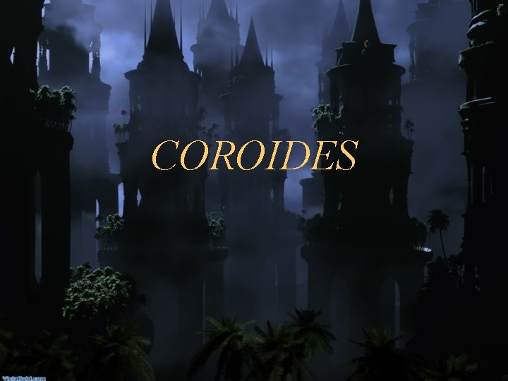 COROIDES 