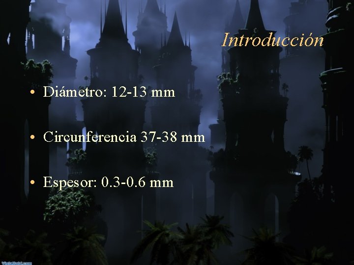 Introducción • Diámetro: 12 -13 mm • Circunferencia 37 -38 mm • Espesor: 0.