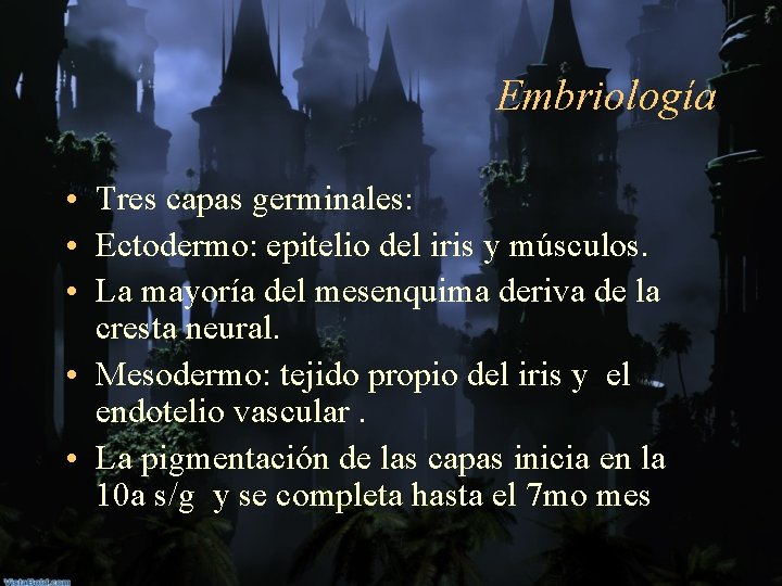 Embriología • Tres capas germinales: • Ectodermo: epitelio del iris y músculos. • La