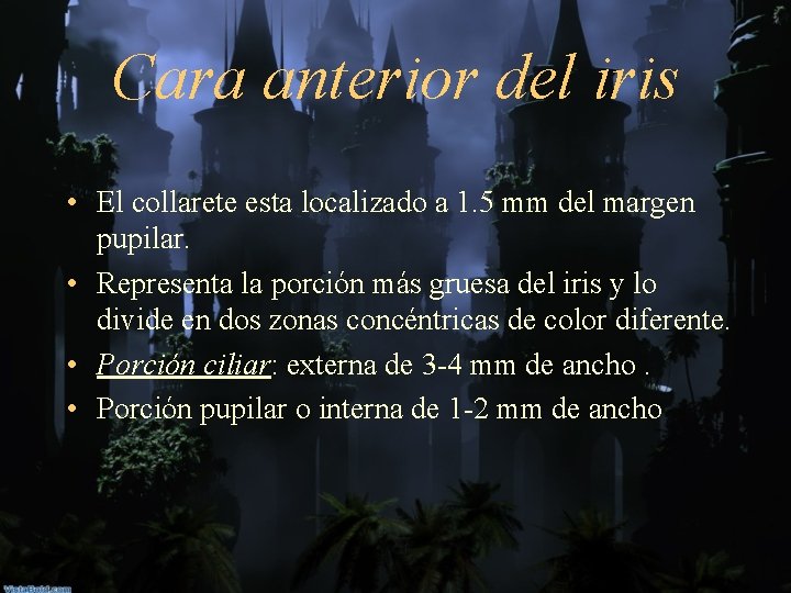 Cara anterior del iris • El collarete esta localizado a 1. 5 mm del