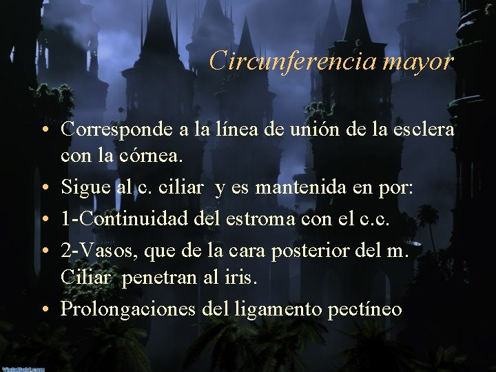 Circunferencia mayor • Corresponde a la línea de unión de la esclera con la