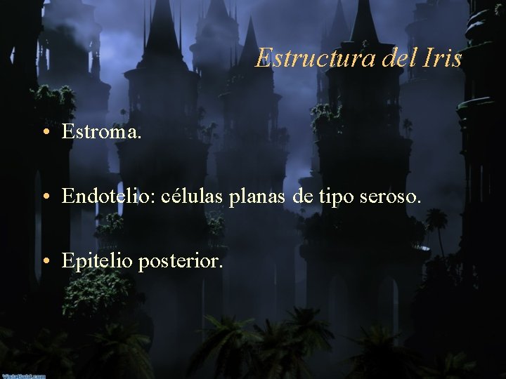 Estructura del Iris • Estroma. • Endotelio: células planas de tipo seroso. • Epitelio