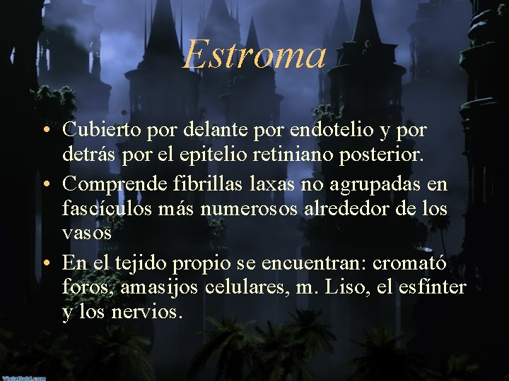 Estroma • Cubierto por delante por endotelio y por detrás por el epitelio retiniano