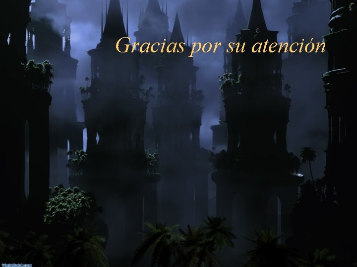 Gracias por su atención 