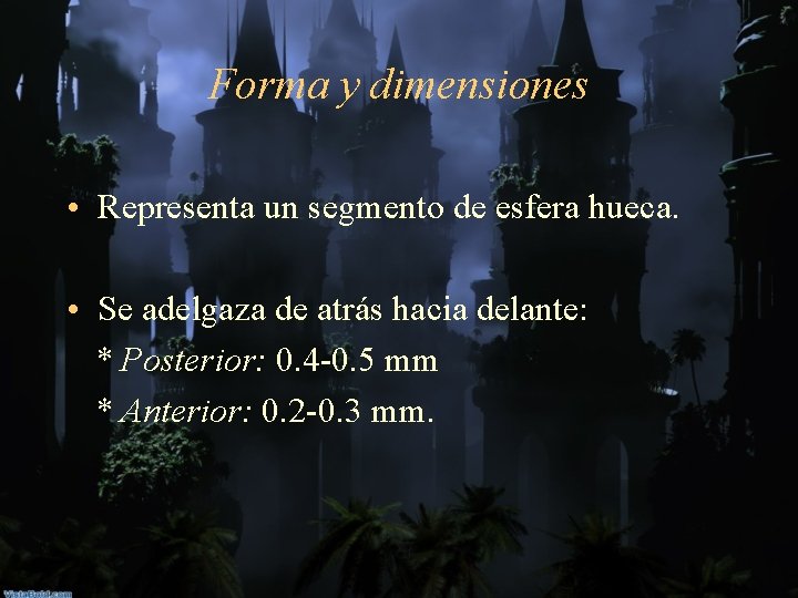 Forma y dimensiones • Representa un segmento de esfera hueca. • Se adelgaza de