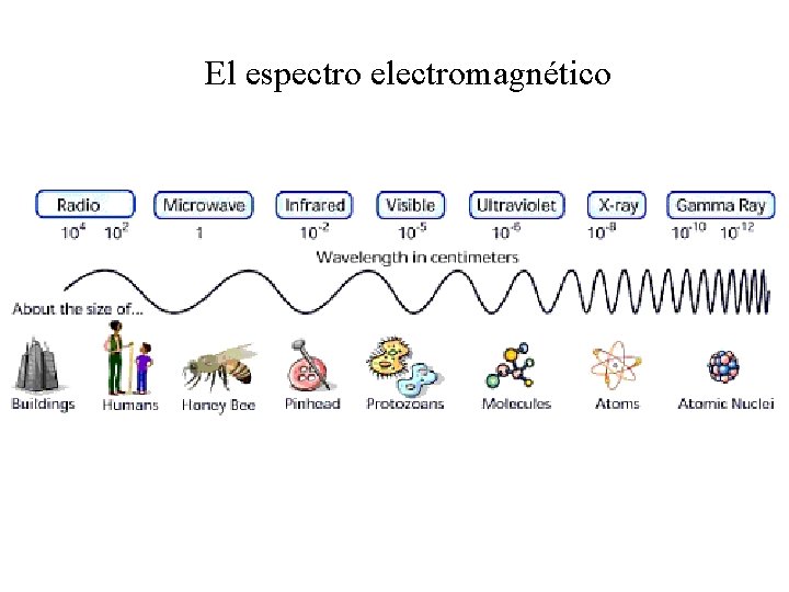 El espectro electromagnético 