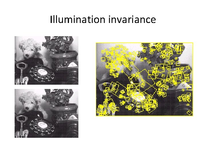 Illumination invariance 