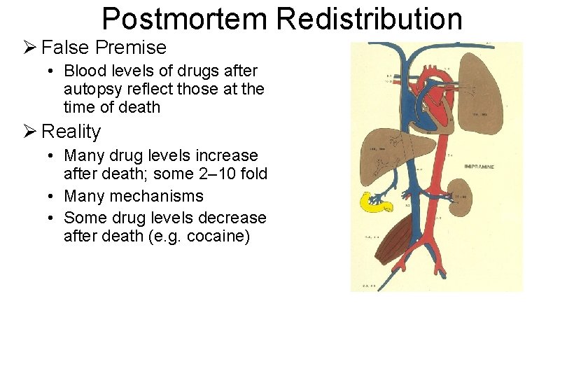 Postmortem Redistribution Ø False Premise • Blood levels of drugs after autopsy reflect those