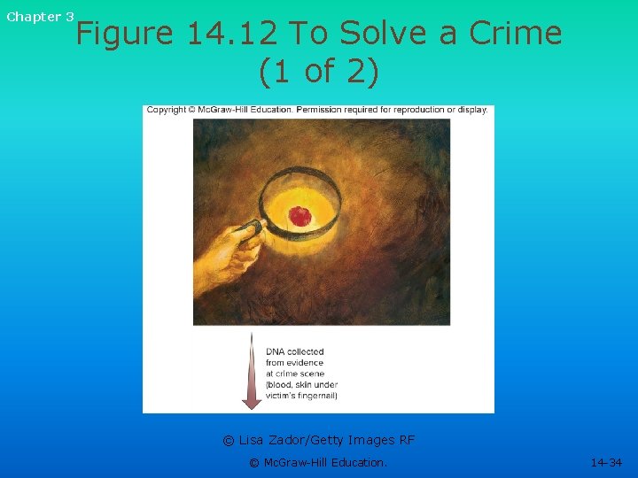 Chapter 3 Figure 14. 12 To Solve a Crime (1 of 2) © Lisa