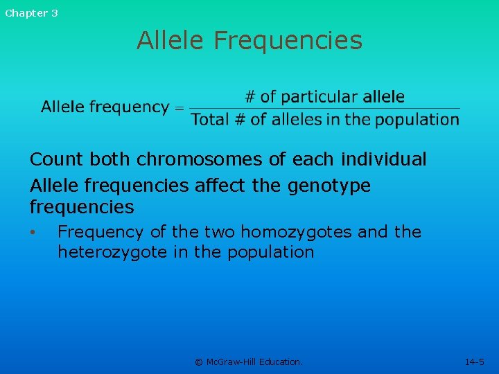 Chapter 3 Allele Frequencies Count both chromosomes of each individual Allele frequencies affect the