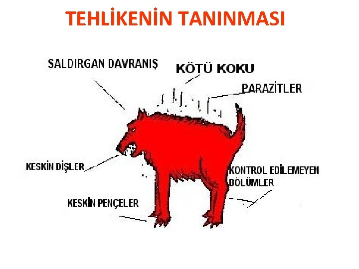TEHLİKENİN TANINMASI 