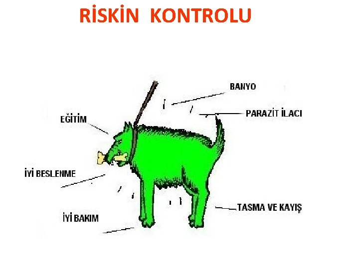 RİSKİN KONTROLU 