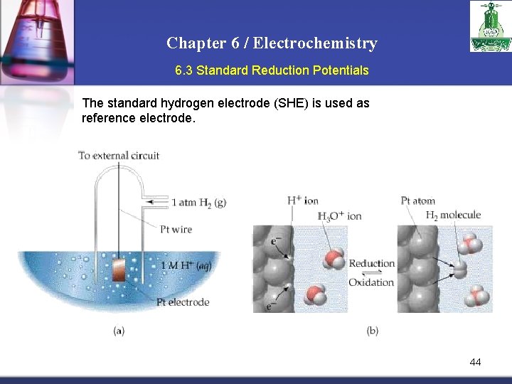 Chapter 6 / Electrochemistry 6. 3 Standard Reduction Potentials The standard hydrogen electrode (SHE)