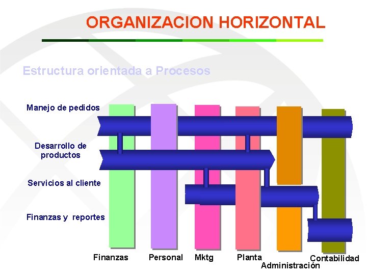 ORGANIZACION HORIZONTAL Estructura orientada a Procesos Manejo de pedidos Desarrollo de productos Servicios al