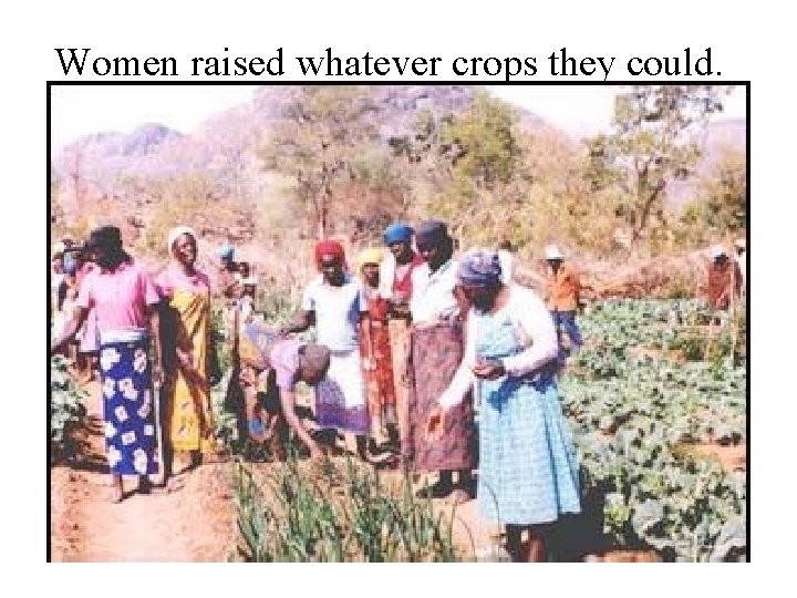 Women raised whatever crops they could. 