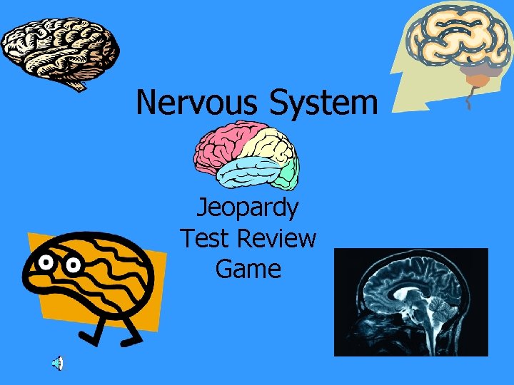 Nervous System Jeopardy Test Review Game 