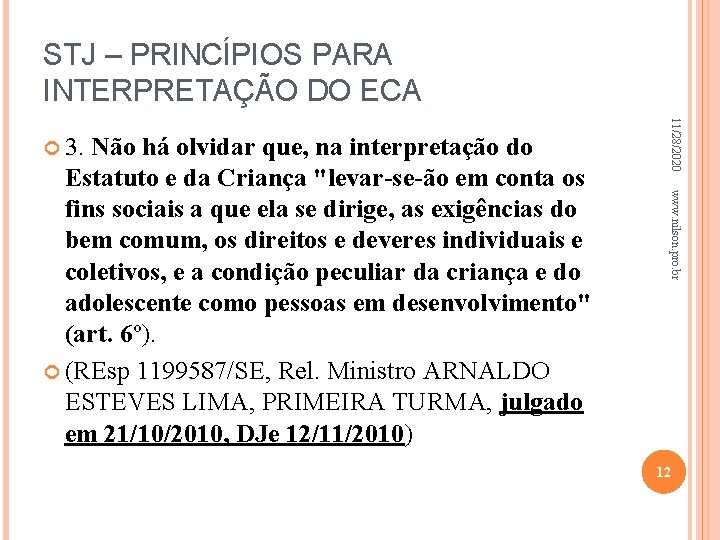 STJ – PRINCÍPIOS PARA INTERPRETAÇÃO DO ECA www. nilson. pro. br Estatuto e da