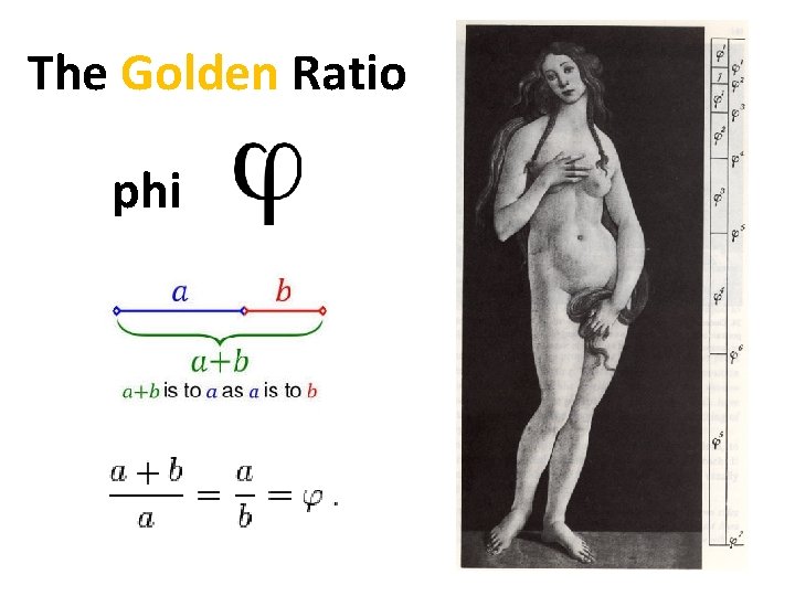 The Golden Ratio phi 