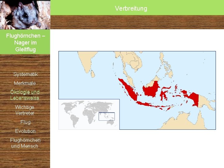 Verbreitung Flughörnchen – Nager im Gleitflug • Hauptverbreitungsgebiet: Ost- und Südostasien (vor allem indonesische Verbreitung Flughörnchen – Nager im Gleitflug • Hauptverbreitungsgebiet: Ost- und Südostasien (vor allem indonesische