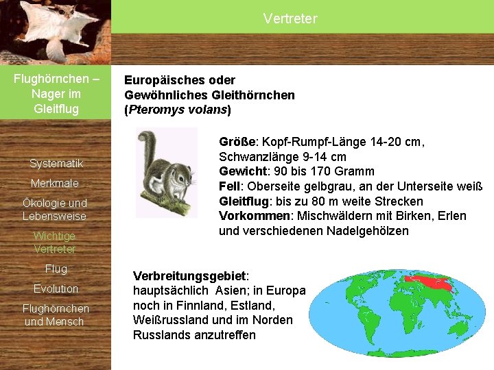 Vertreter Flughörnchen – Nager im Gleitflug Systematik Merkmale Ökologie und Lebensweise Wichtige Vertreter Flug Vertreter Flughörnchen – Nager im Gleitflug Systematik Merkmale Ökologie und Lebensweise Wichtige Vertreter Flug