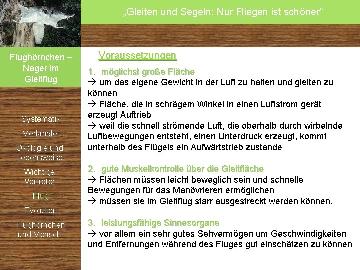 „Gleiten und Segeln: Nur Fliegen ist schöner“ Flughörnchen – Nager im Gleitflug Systematik Merkmale „Gleiten und Segeln: Nur Fliegen ist schöner“ Flughörnchen – Nager im Gleitflug Systematik Merkmale